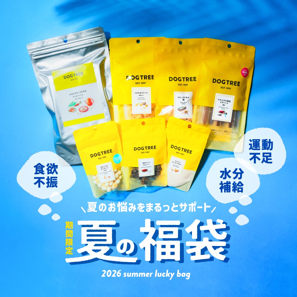 2026-summer-lucky-bag_banner.jpg
