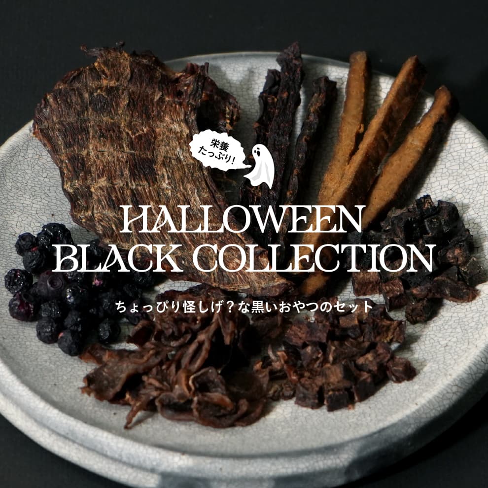 2026_halloween_black-collection_banner.jpg
