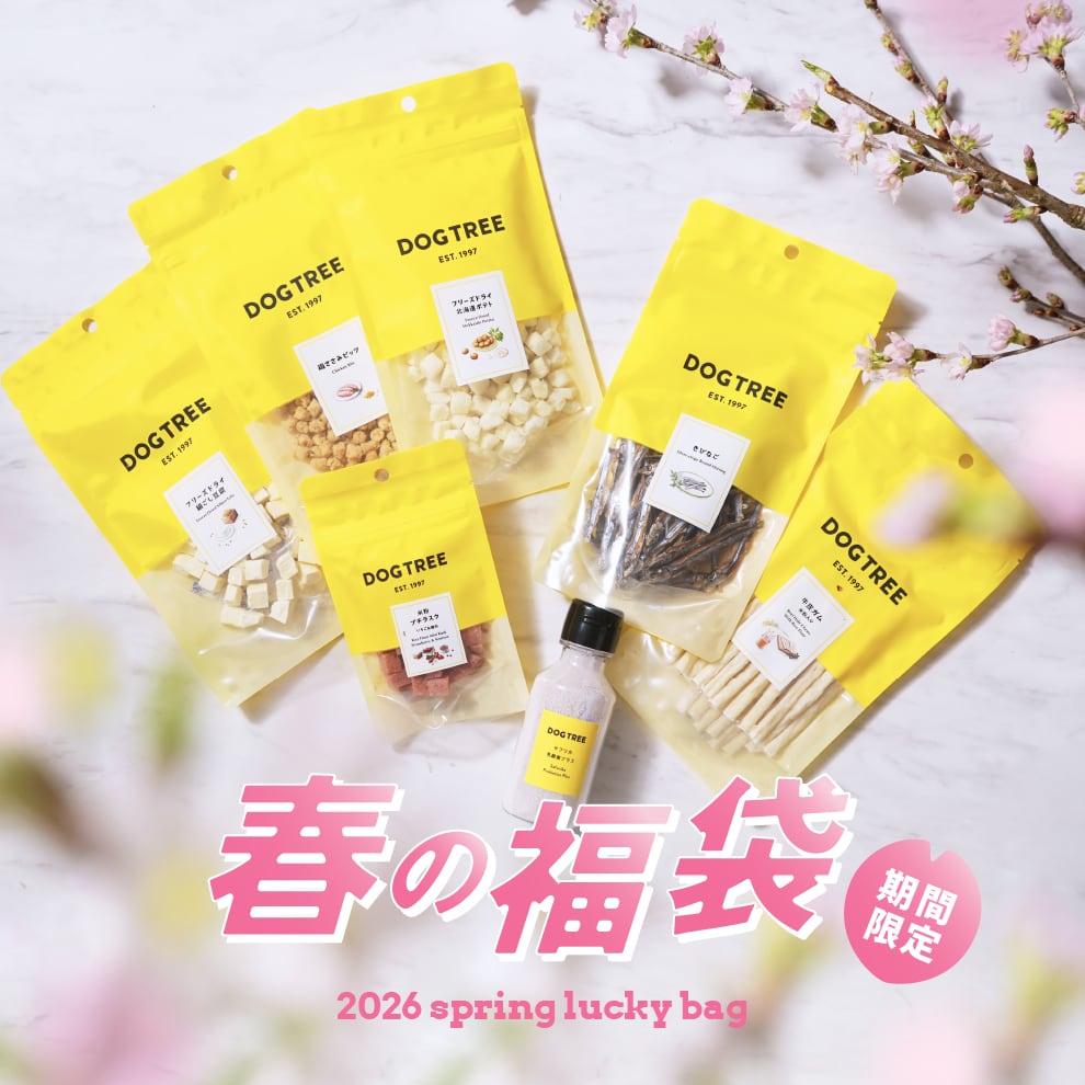 2026_spring_lucky_bag_banner.jpg