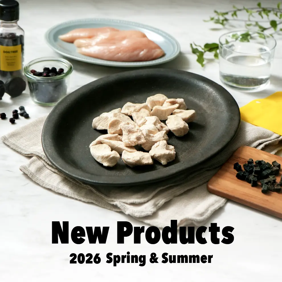 2026年SS 新商品発売！