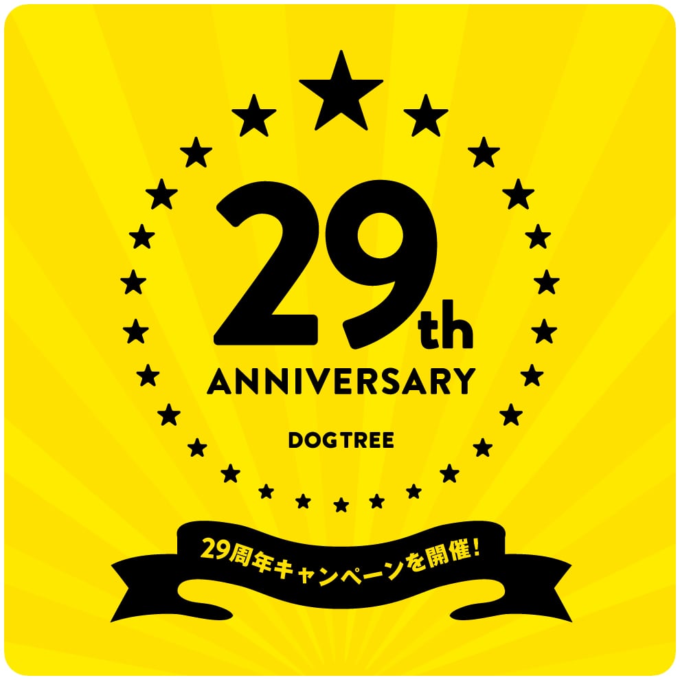 29th_banner.jpg