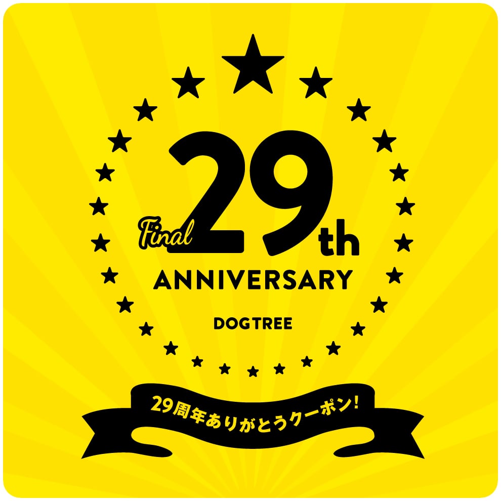 29th_banner_final.jpg