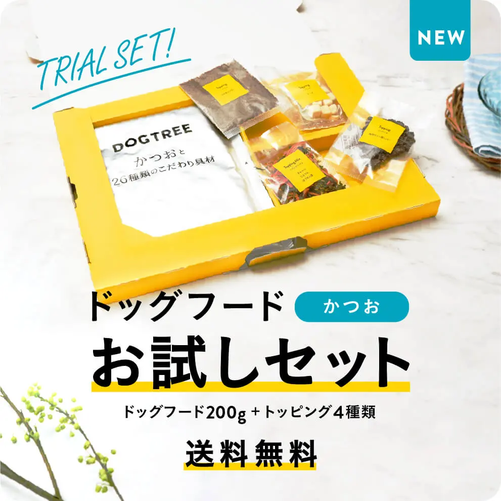 かつおと26種類のこだわり具材 お試しセット（送料無料・1回限り）