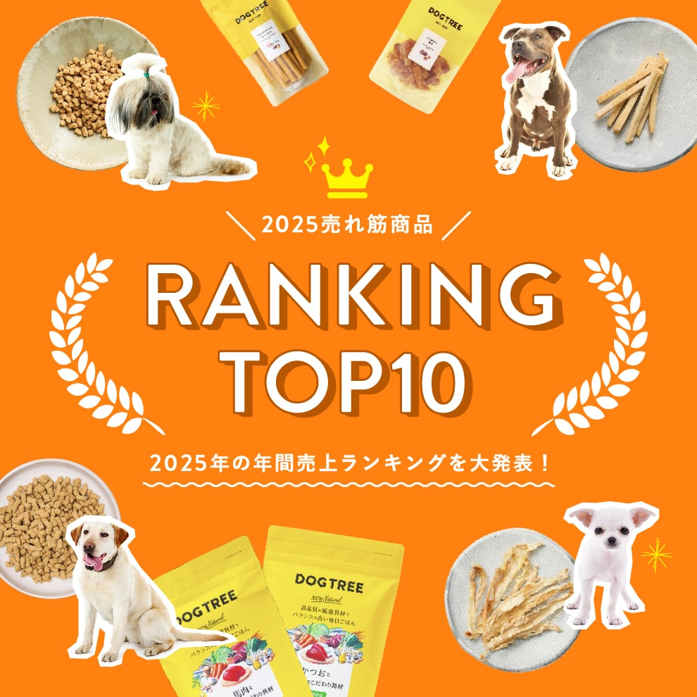 ranking25_banner.jpg