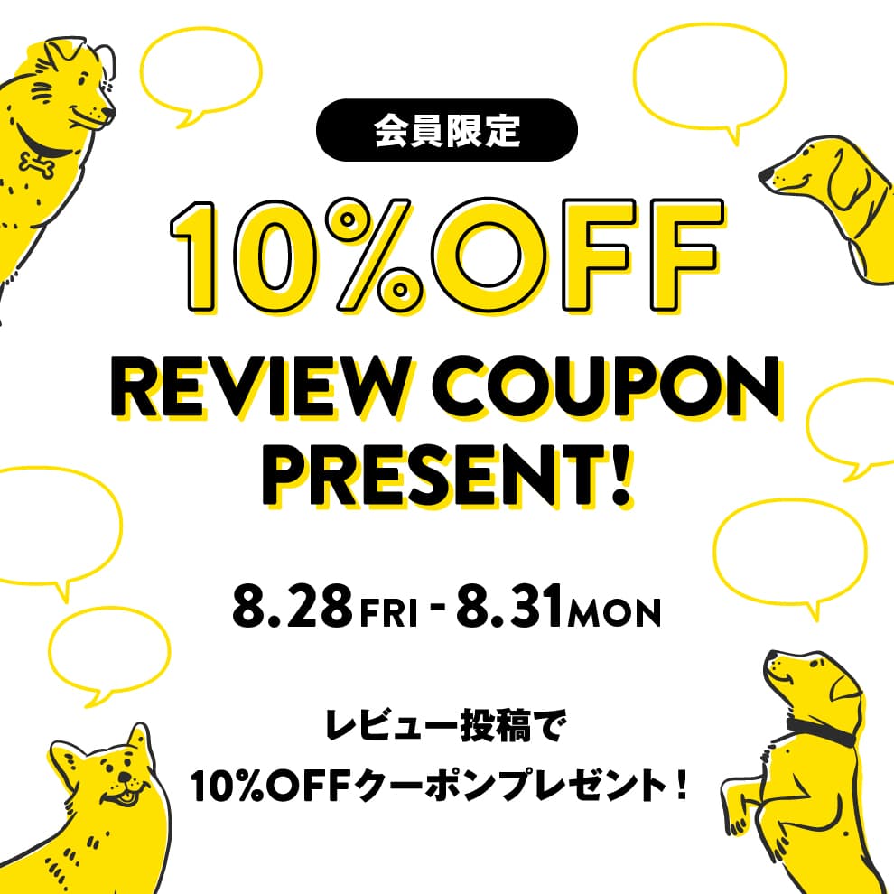 review_10off_TOP_20260828.jpg