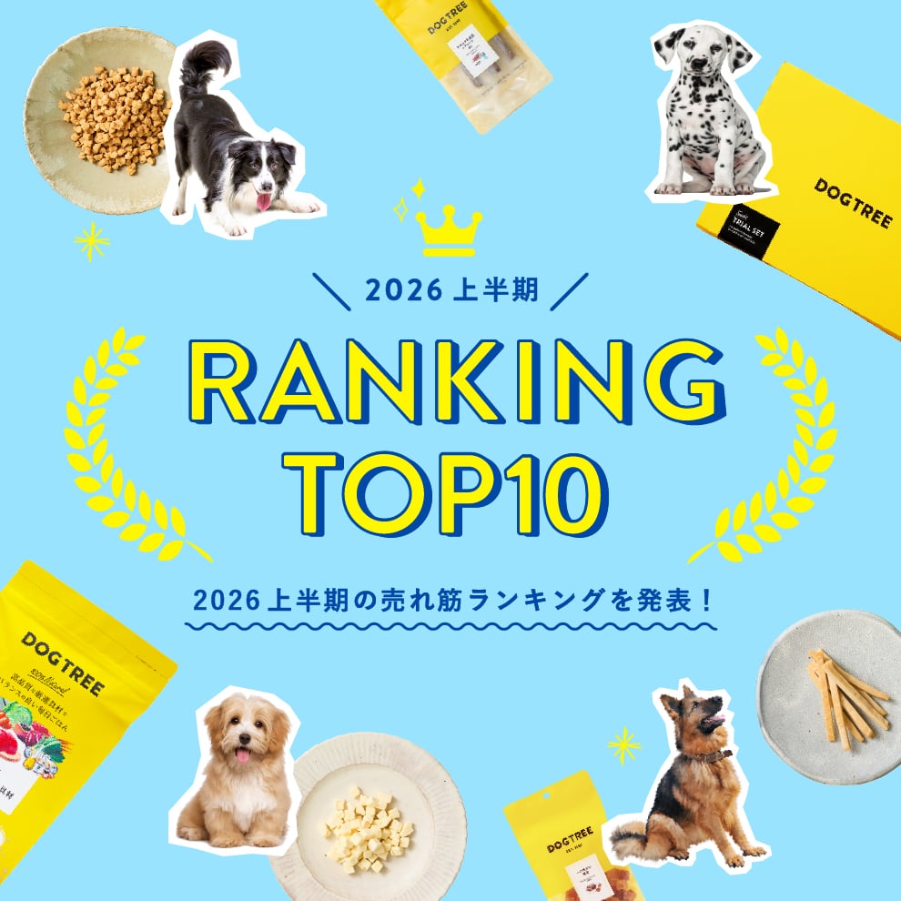 ranking26_banner.jpg