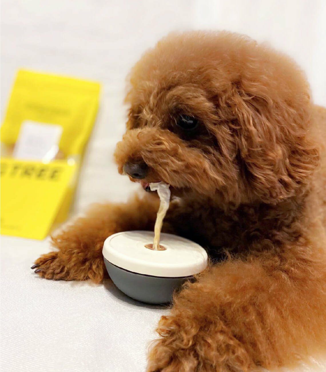 ターキーアキレス L 約50g｜【国産・無添加】ドッグフード・犬のおやつ