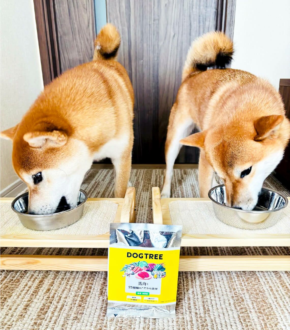 ドッグフード】馬肉と25種類のこだわり具材 | DOGTREE｜公式通販サイト