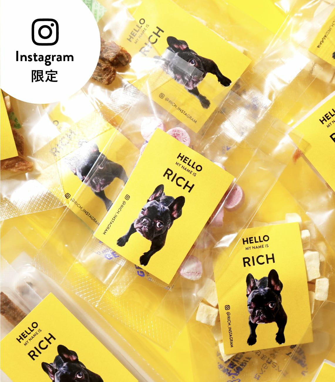 おやつ｜【国産・無添加】ドッグフード・犬のおやつ｜DOGTREE（ドッグ