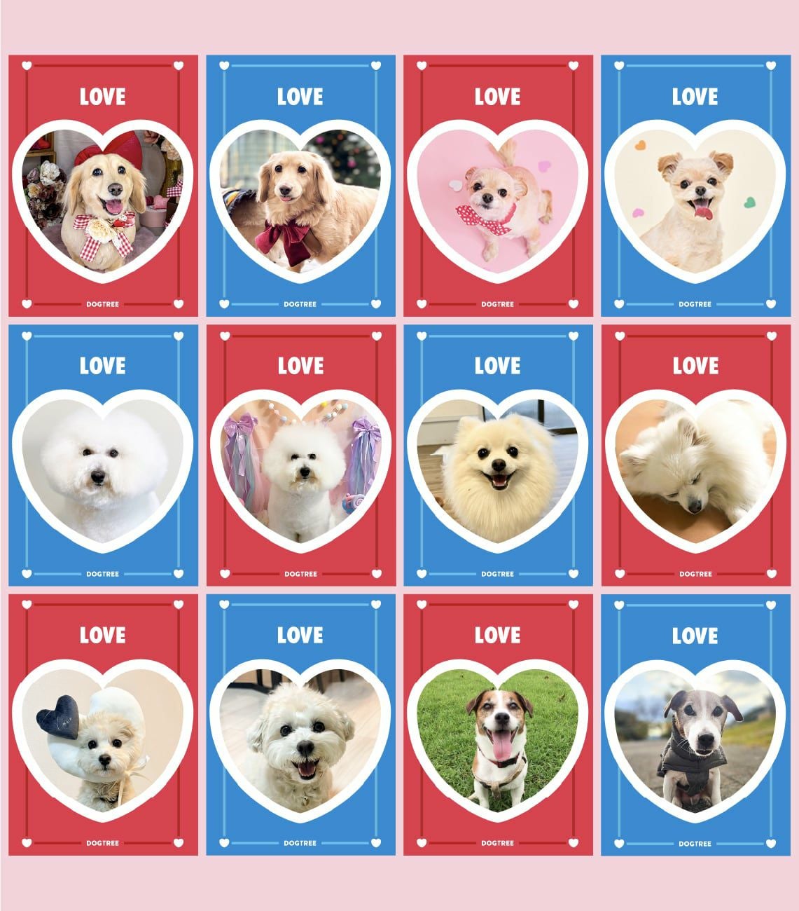 ホワイトデー】愛犬の写真が入るオリジナルパッケージ｜【国産・無添加
